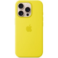 Накладка Silicone Case Magsafe для iPhone 16 Pro (Star Fruit)