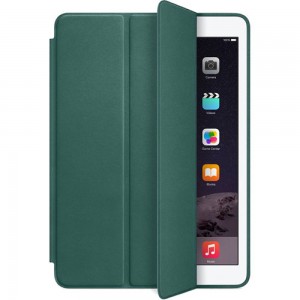 10.9" Чехол-книжка Smart Case для iPad 10 2022 (зеленый)
