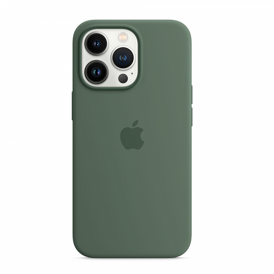 Накладка Silicone Case Magsafe для iPhone 13 Pro Max (Eucalyptus) | IMarket  | Чита