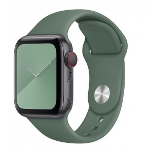 Силиконовый ремешок COTEetCI для Apple Watch 38/40mm (Pine Green)